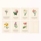 7-Pack of Bible verse floral greeting cards with envelopes