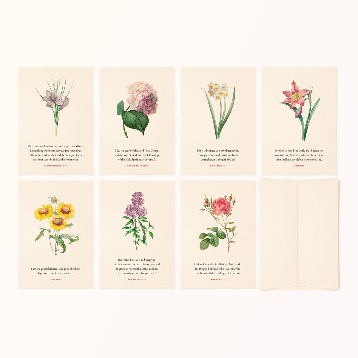 7-Pack of Bible verse floral greeting cards with envelopes
