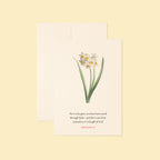 Ephesians 2:8 Folded Card