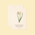 Ephesians 2:8 Saved by Grace Bible verse floral greeting card