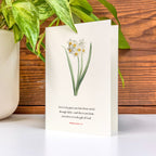 Ephesians 2:8 Bible verse greeting card with envelope