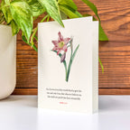 John 3:16 Folded Card