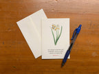 Ephesians 2:8 Bible verse card shown handwritten